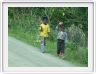Marchands en herbe 
