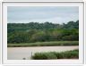 Estuaire de St Lucia