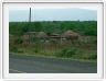 Swaziland