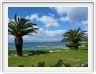 Boulders Beach