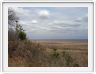 Parc Kruger