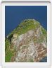 Pointe du Cap (Cape point)
