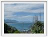Hermanus