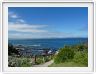 Hermanus