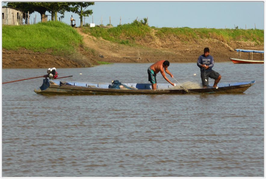Excursion avec les canots sur des affluents de l'Amazone