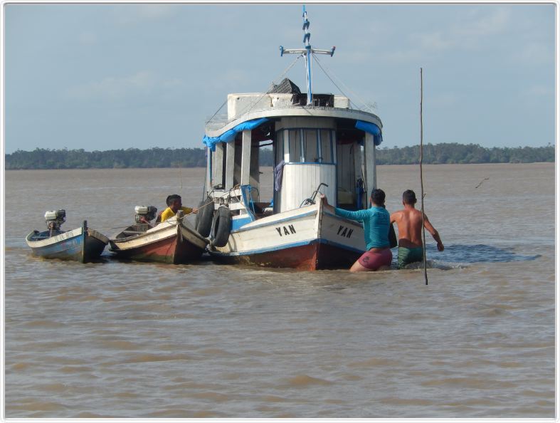 Excursion avec les canots. Sur le lac Monte Alegre