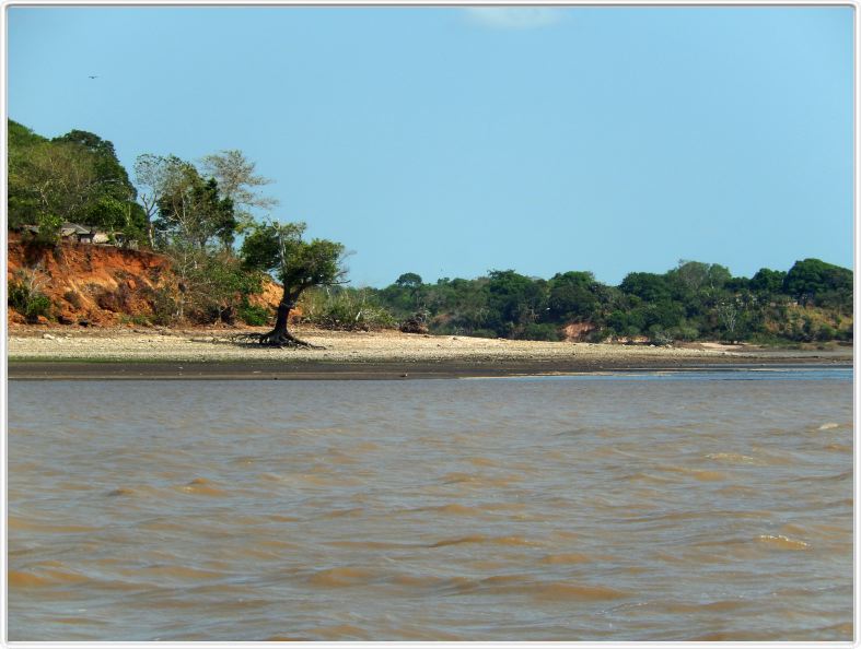 Excursion avec les canots. Sur le lac Monte Alegre