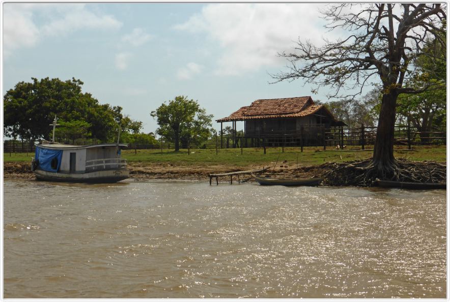 Excursion avec les canots sur des affluents de l'Amazone