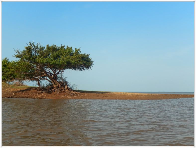 Découverte du Rio Jari avec les canots