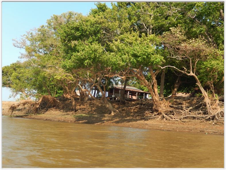 Découverte du Rio Jari avec les canots