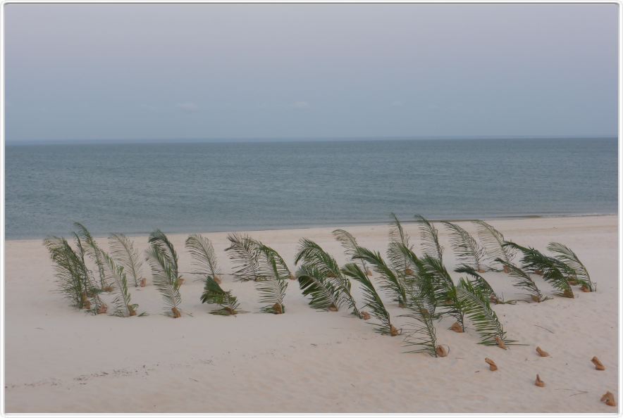 Banc de sable près de Maguari