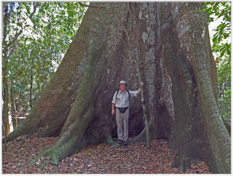 Excursion dans la forêt amazonienne (à choix de 3 à 6 heures de marche).