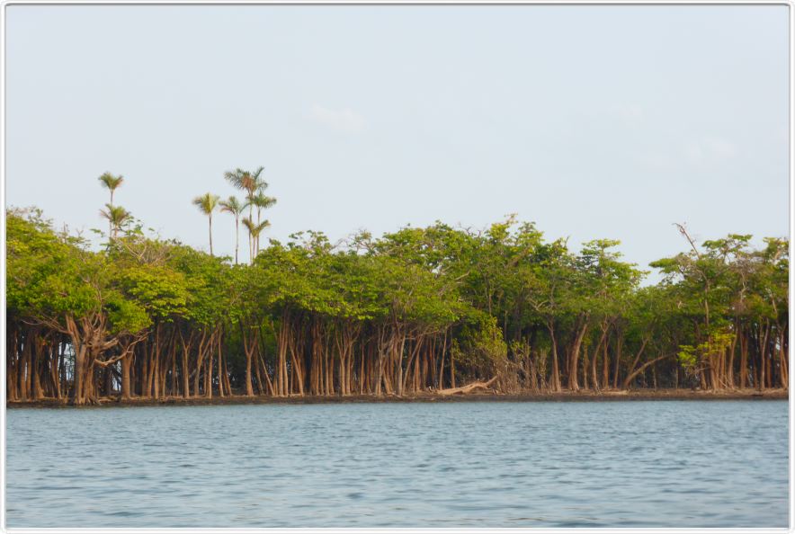 Excursion matinale en canot sur le Tapajós près de Brangança