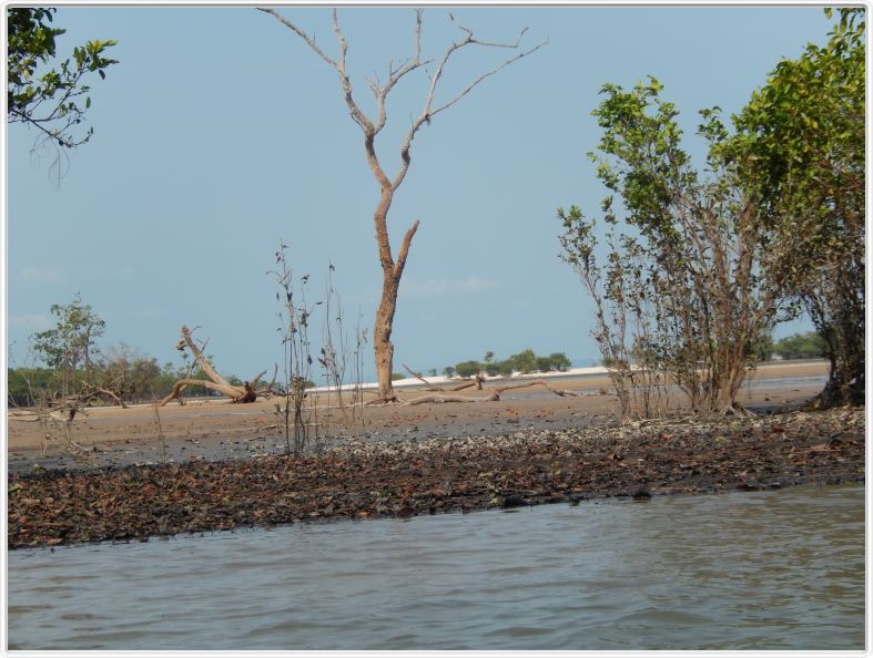 L'excursion matinale sur le Tapajós continue mais avec des barques