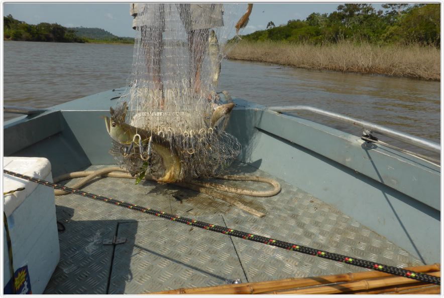 Navigation sur le Rio Ituqui (avec les annexes)