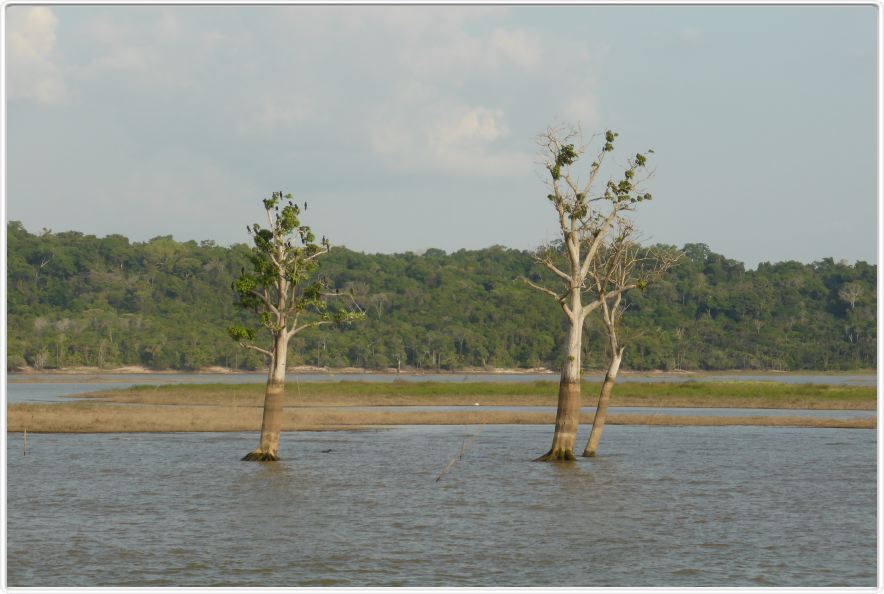 Navigation sur l'Amazone vers l'embouchure de la rivière Curuá-Una