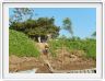 Excursion avec les canots sur des affluents de l'Amazone