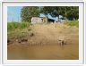 Excursion avec les canots sur des affluents de l'Amazone