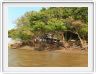 Découverte du Rio Jari avec les canots