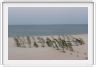 Banc de sable près de Maguari