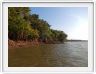 Exploration du Rio Curuá-Una