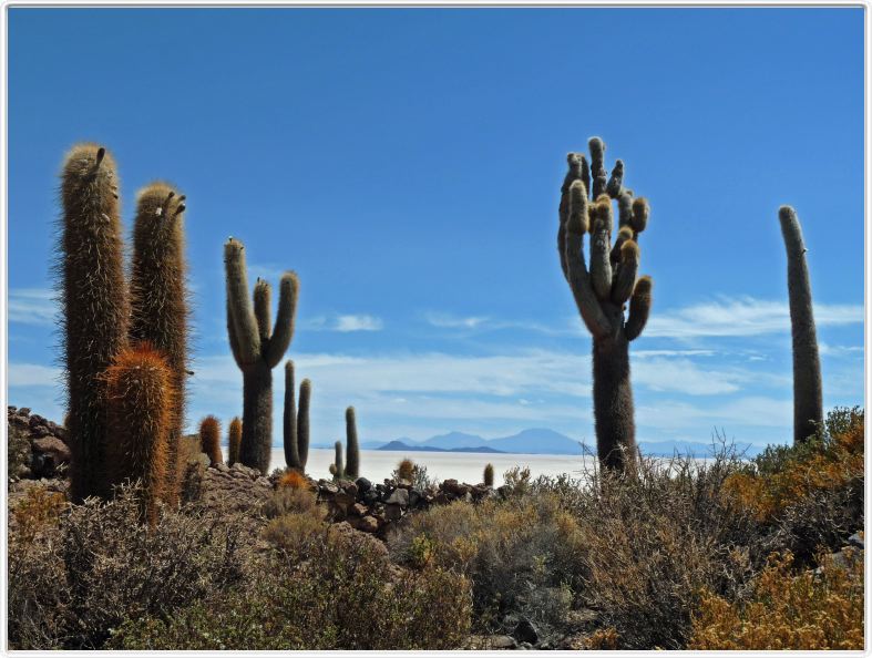 Désert de sel (Salar d'Uyuni)
