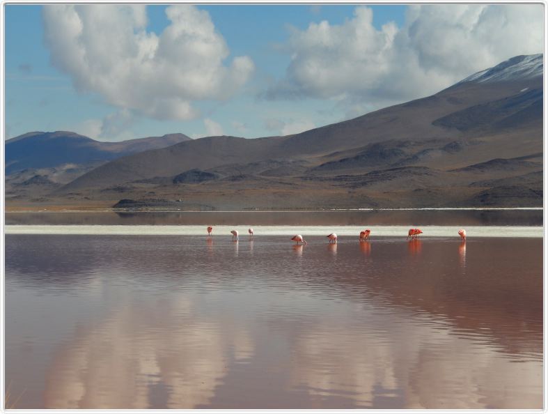 La Laguna colorada