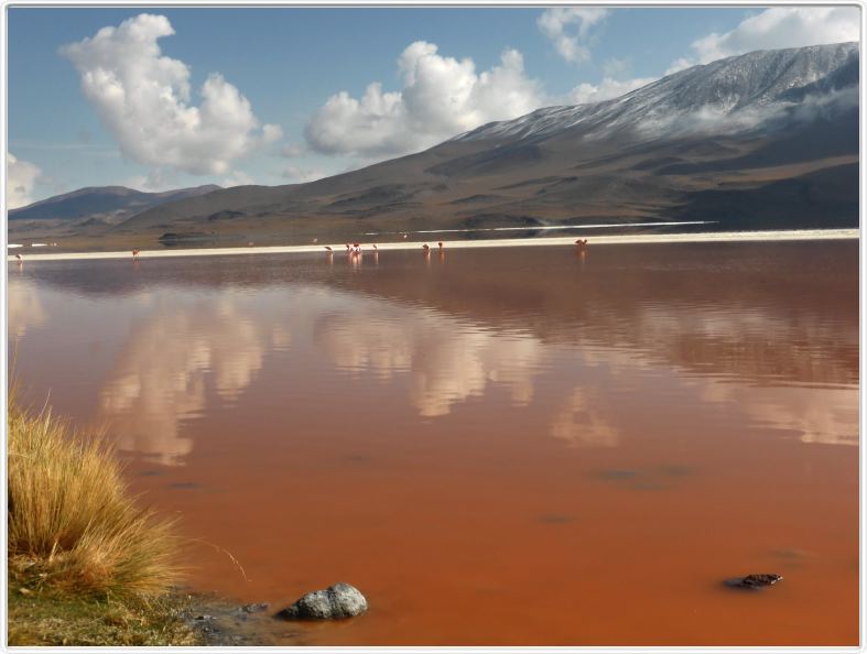 La Laguna colorada