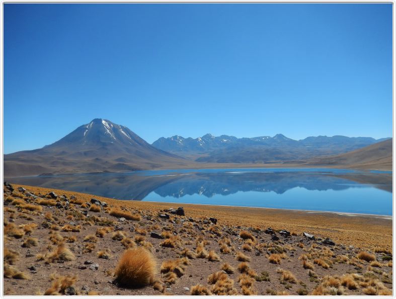 Visite des hauts plateaux du désert d'Atacama