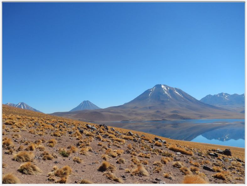 Visite des hauts plateaux du désert d'Atacama