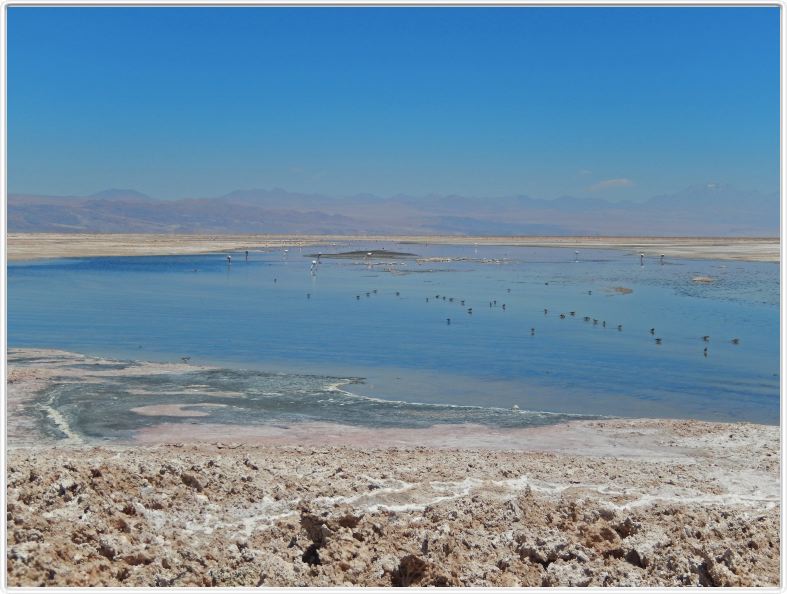 Le Salar d'Atacama