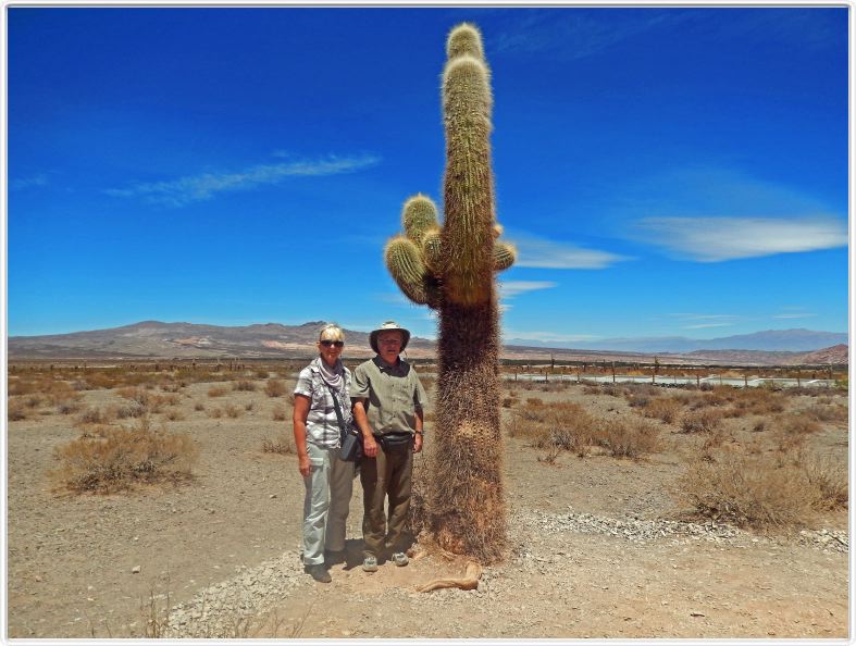 Sur la route menant de Salta à Calchi