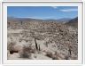 Route menant de Salta à San Antonio de Los Cobres