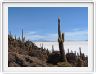 Désert de sel (Salar d'Uyuni)