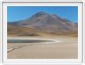 Visite des hauts plateaux du désert d'Atacama