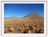 Environs du Parc géothermique d'El Tatio
