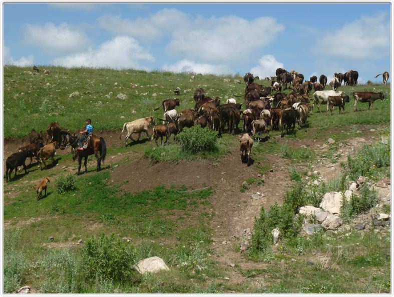 Col de Selim (Sulema)