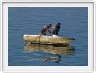 Pêcheurs sur Le lac Sevan