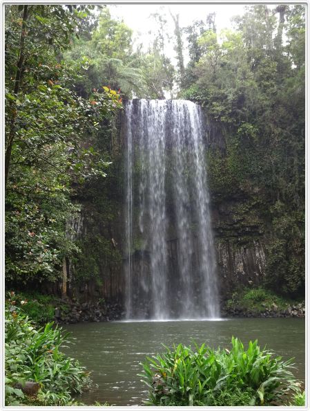 Millaa Millaa  près de Cairns (Queensland).