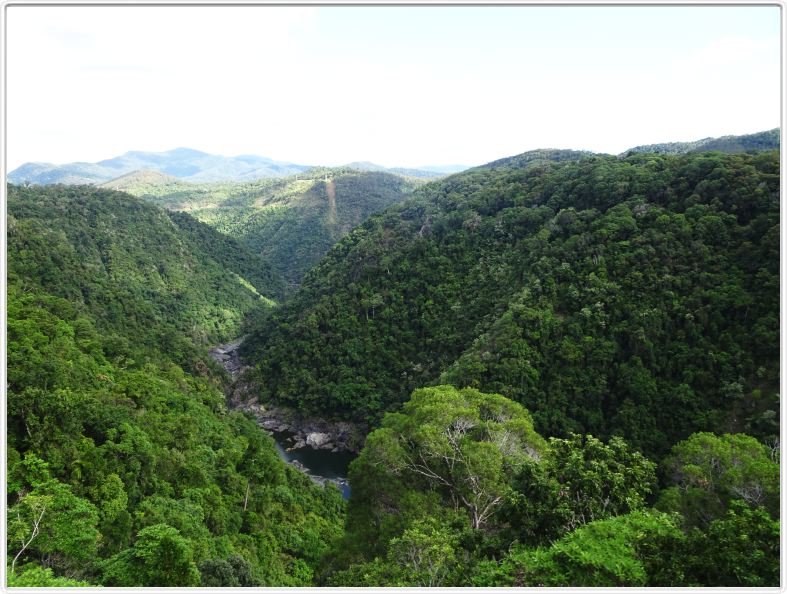 Retour par une série de télécabines au-dessus de la forêt tropicale.