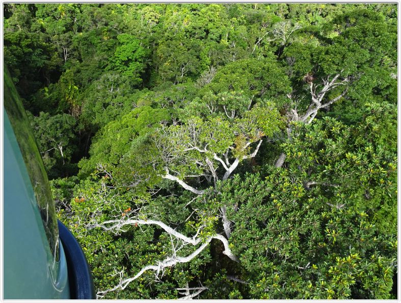 Retour par une série de télécabines au-dessus de la forêt tropicale.