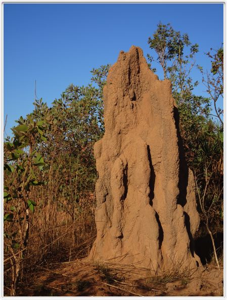 Nous partons de Darwin en direction du Lichtfield National Park