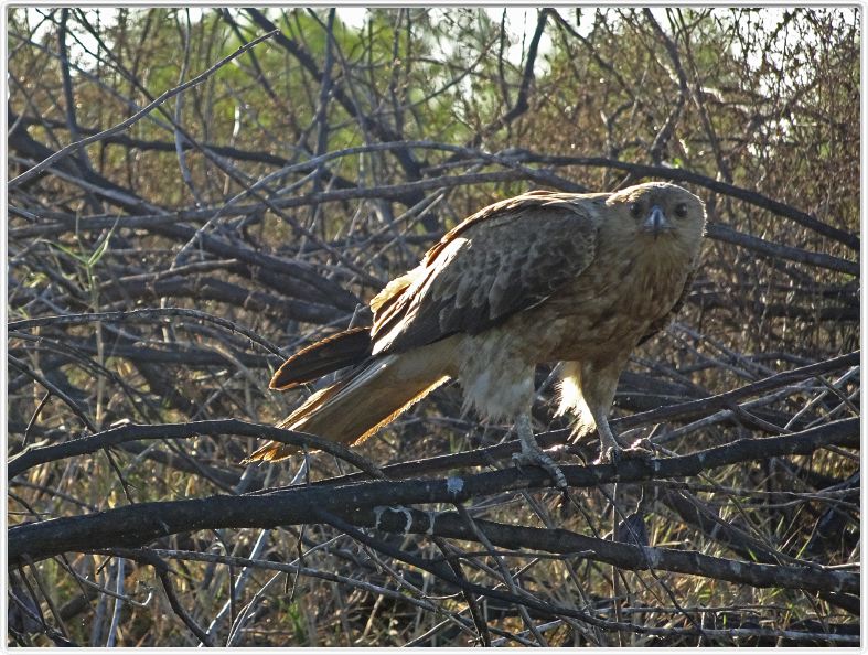 Mary River National Park
