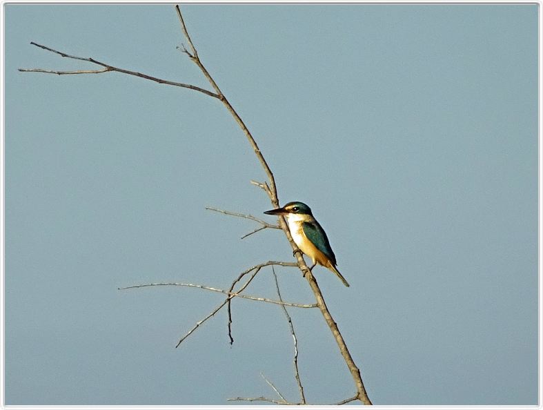 Mary River National Park