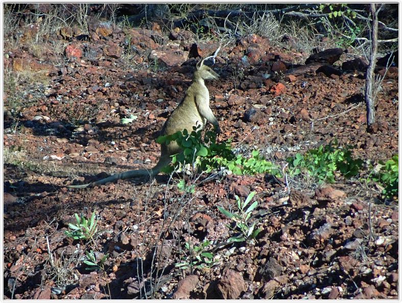 Mary River National Park