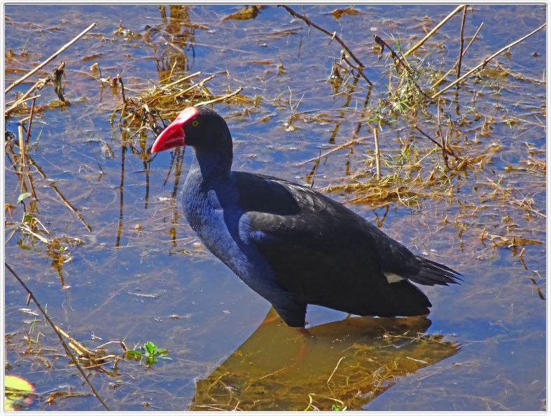 Parc national de Kakadu