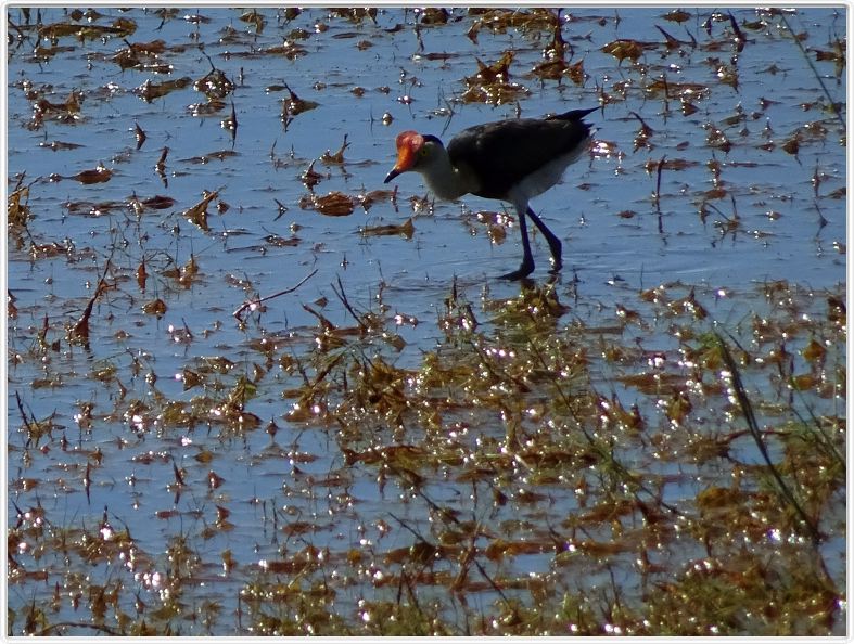 Parc national de Kakadu
