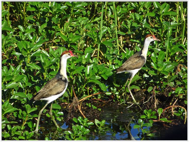 Parc National de Kakadu