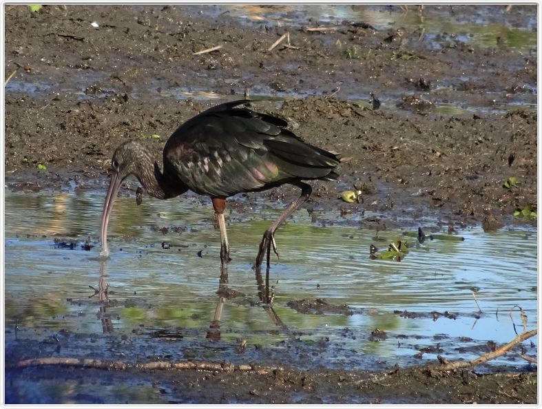 Parc National de Kakadu