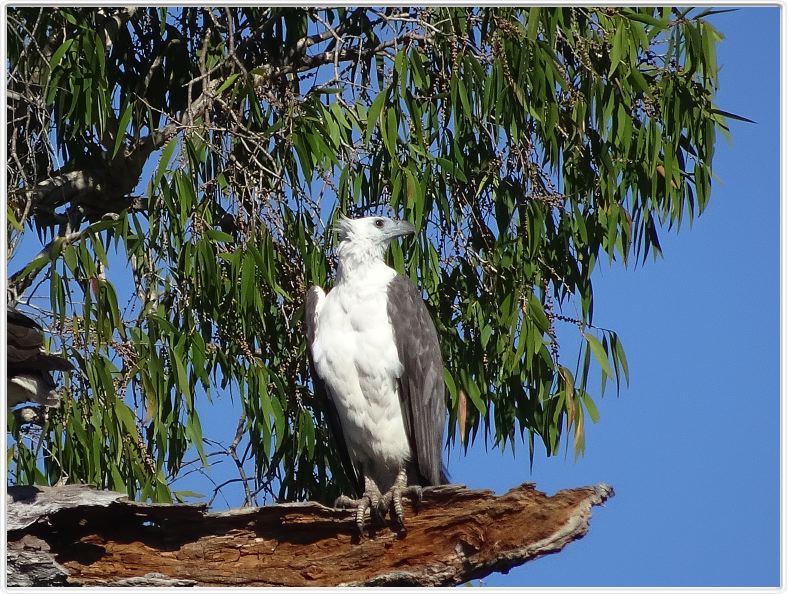 Parc National de Kakadu